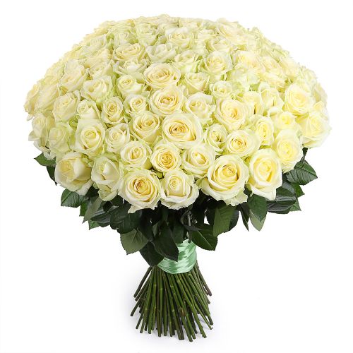 Заказать букет из 101 белой розы с доставкой по Высоцку