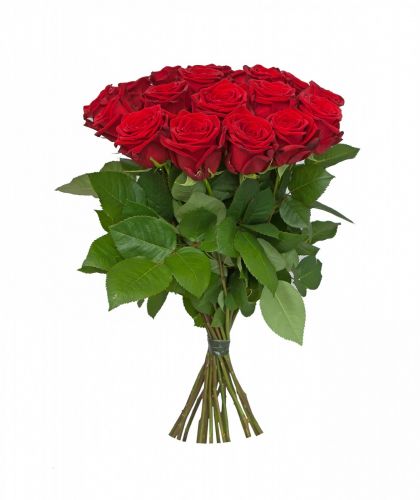 15 красных роз - купить с доставкой по Высоцку