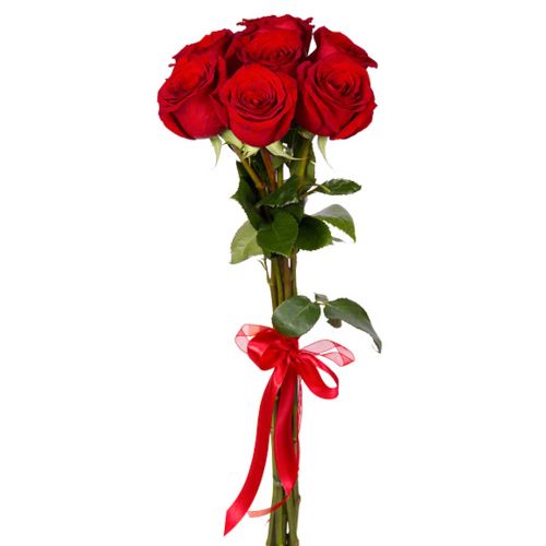 Купить 7 красных роз с доставкой по Высоцку